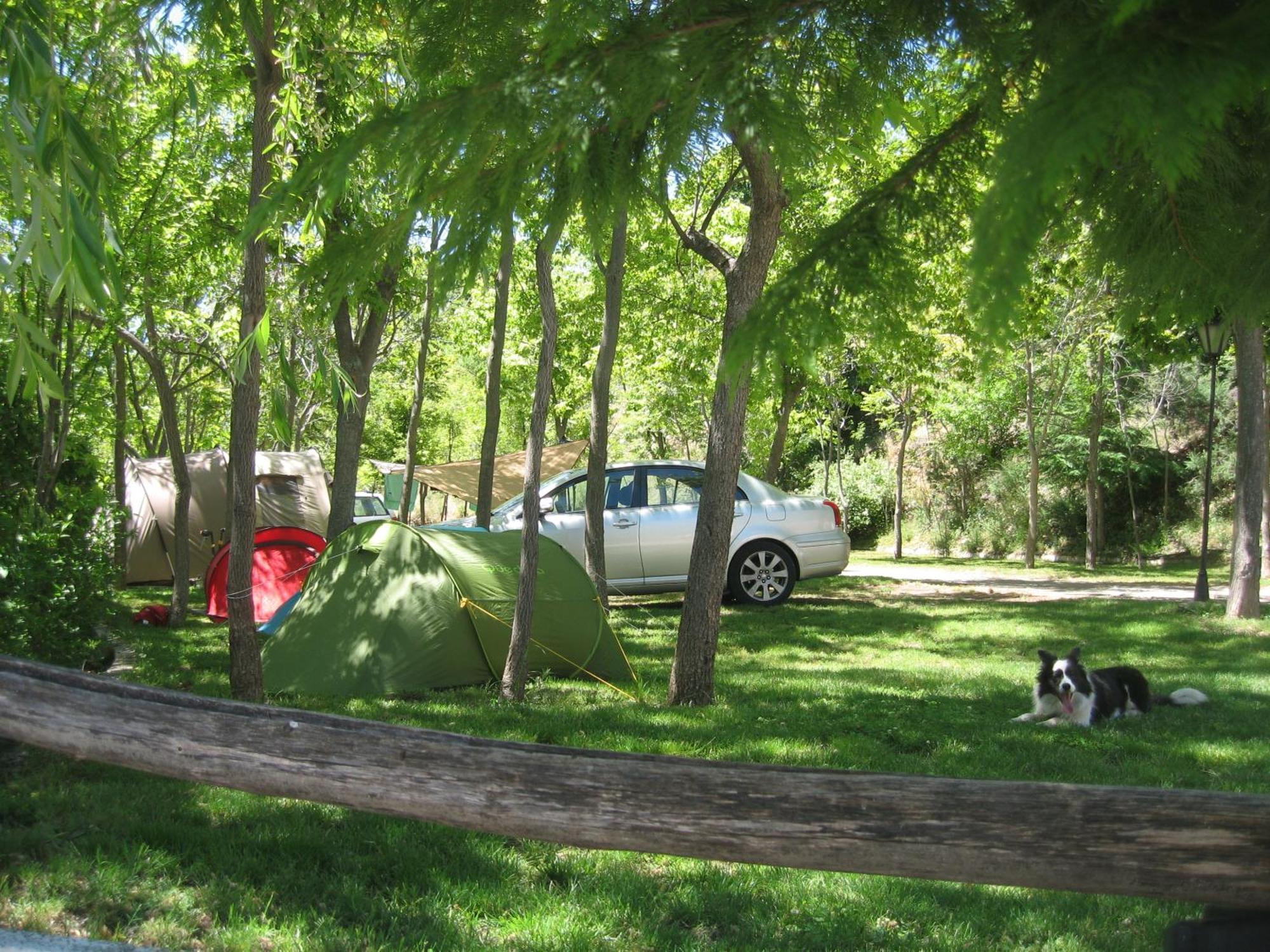 Camping Trevélez Eksteriør billede